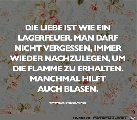 Die Liebe ist ein Lagerfeuer