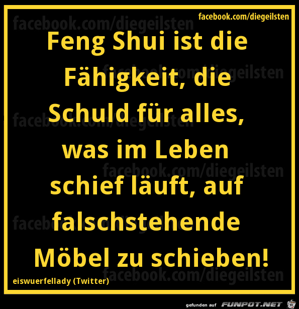 Feng Shui Feng Shui