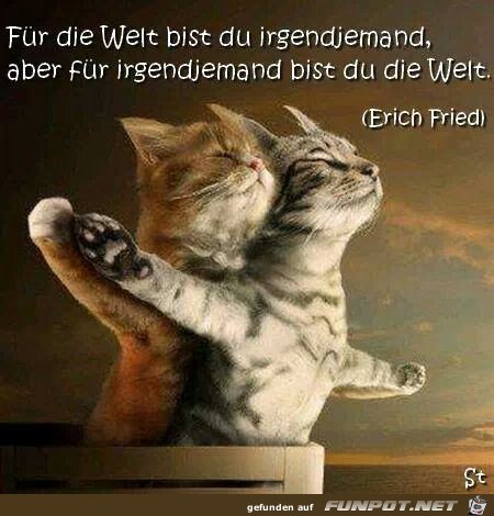 irgendjemand irgendjemand