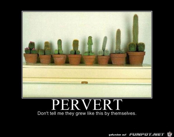 pervers