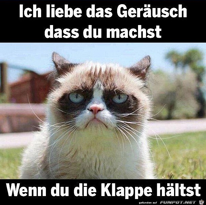 Klappe Klappe
