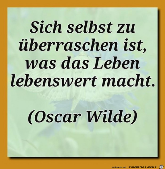 10 schne Sprche und Lebensweisheiten aus...