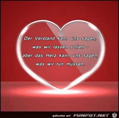 Der Verstand