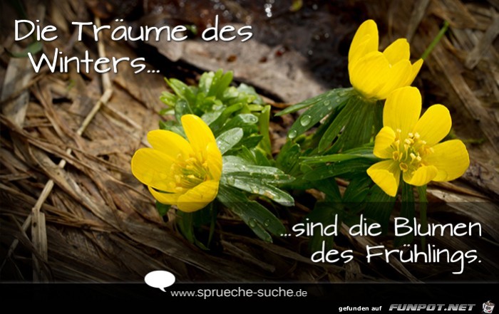 die-traeume-des-winters-sind-die-blumen-des-fruehlings die-traeume-des-winters-sind-die-blumen-des-fruehlings