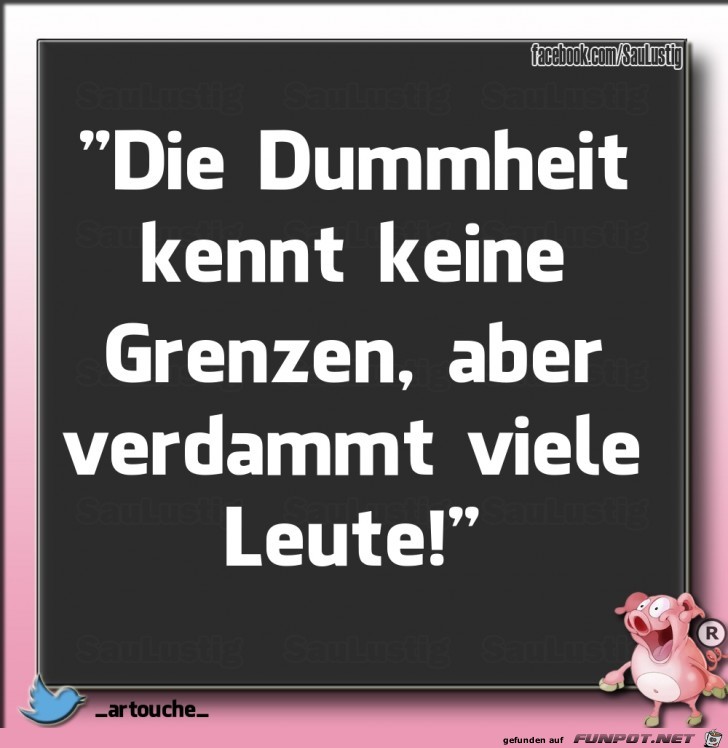Dummheit kennt keine Grenzen Dummheit kennt keine Grenzen