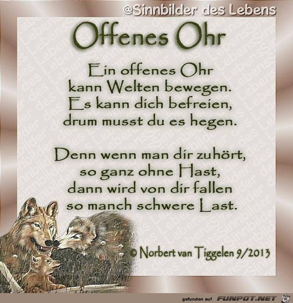 Offenes Ohr 