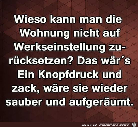 die Wohnung die Wohnung