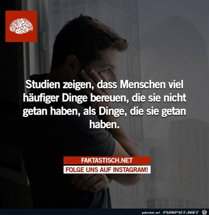 studien zeigen