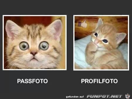passfoto
