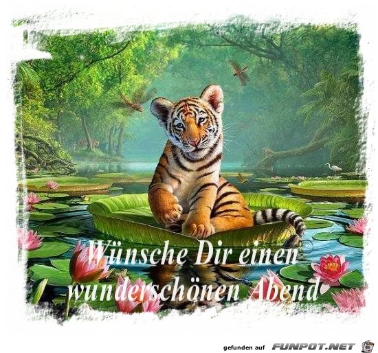wunderschoenen Abend wunderschoenen Abend