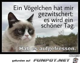 Ein Voegelchen Ein Voegelchen