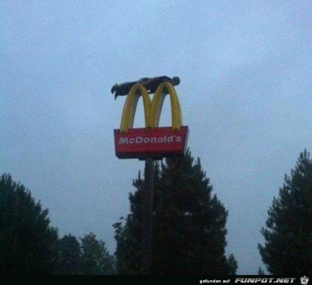This-dude-planking-on-a-McDonald s-sign This-dude-planking-on-a-McDonald s-sign