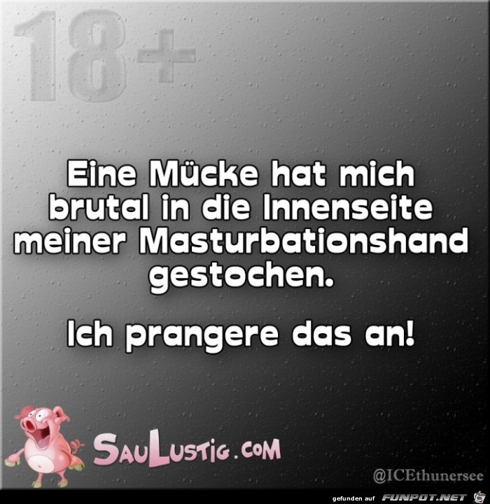Eine-Muecke-hat-mich-gestochen Eine-Muecke-hat-mich-gestochen