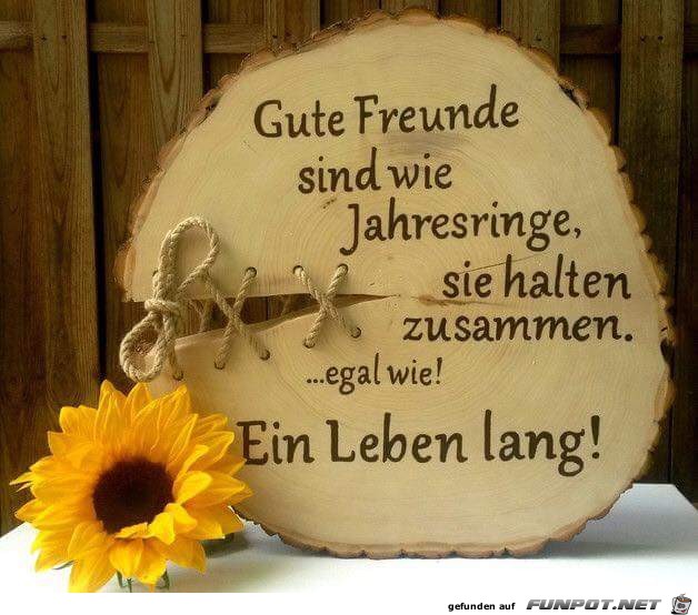 gute Freunde sind wie gute Freunde sind wie