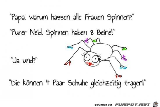 Spinnen Spinnen