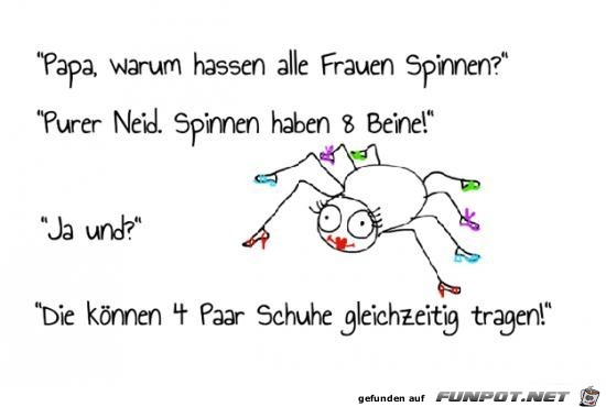 Spinnen