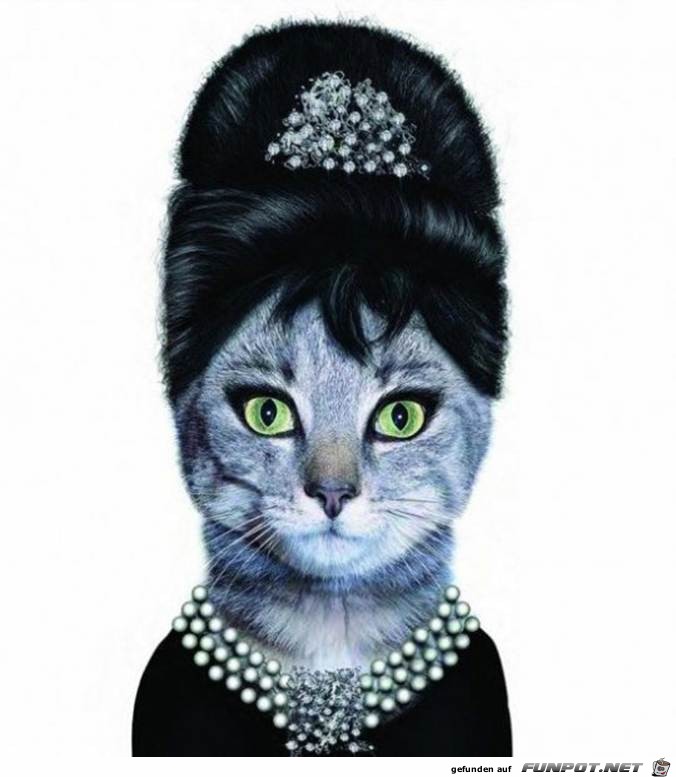 Audrey Hepburn Audrey Hepburn