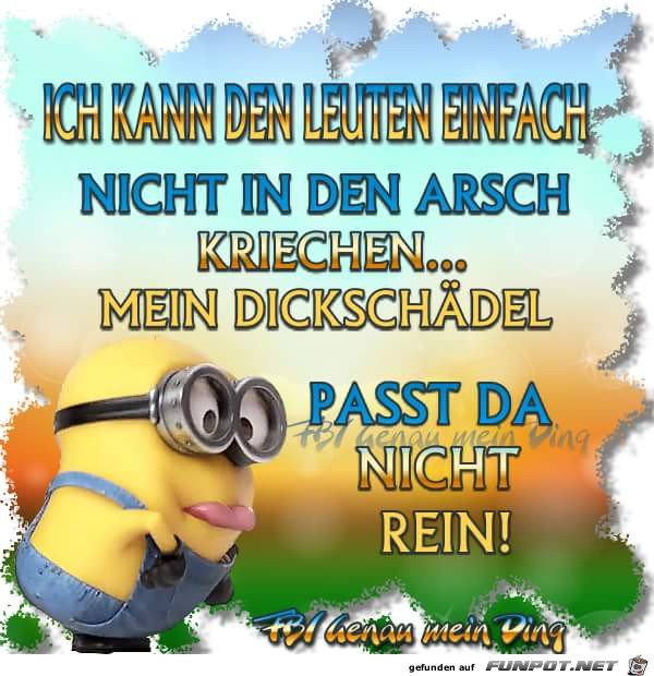 kriechen kriechen