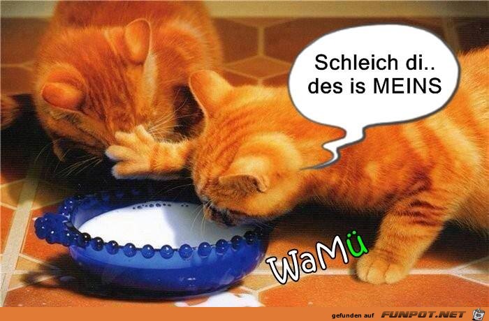 schleich di