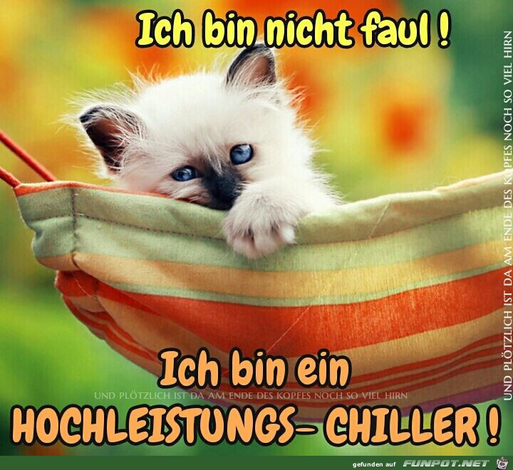 Ich bin nicht faul Ich bin nicht faul