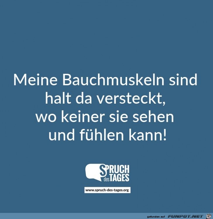 meine-bauchmuskeln-