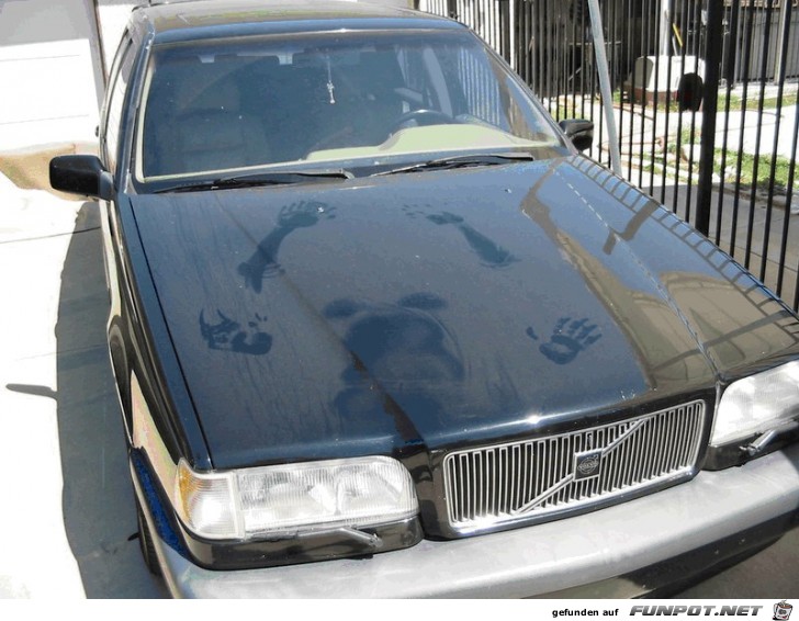 Wifes-volvo Wifes-volvo