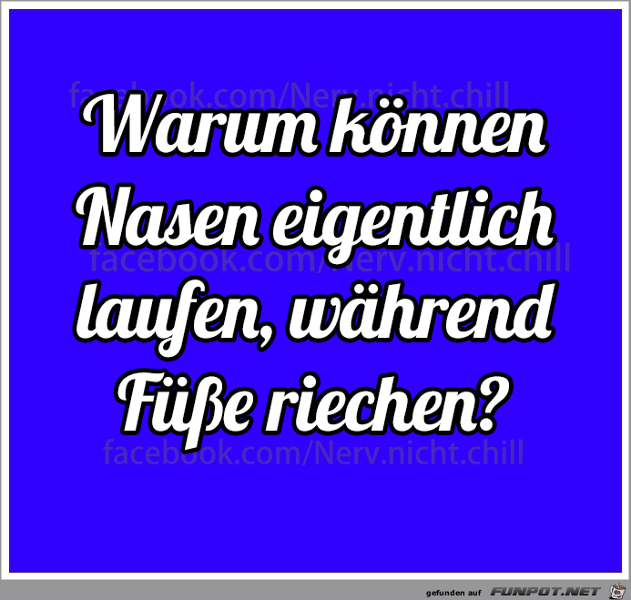 Warum können... Warum können...