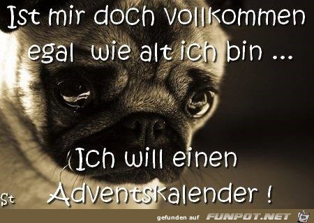 Adventskalender Adventskalender