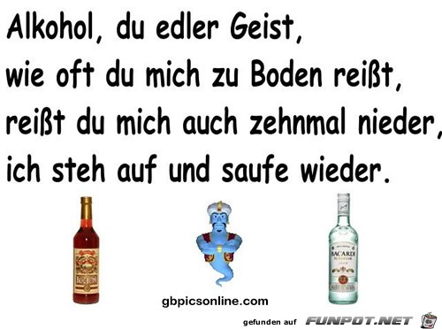 Alkohol ist nicht immer eine Lsung :-)
