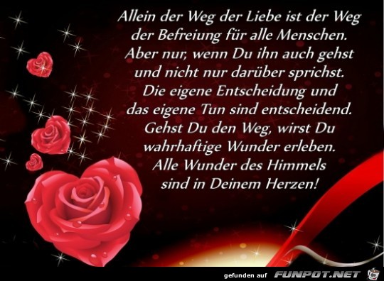 Allein der Weg Allein der Weg