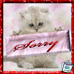 Sorry Sorry