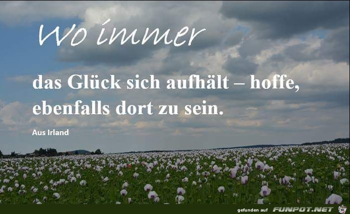 Wo immer