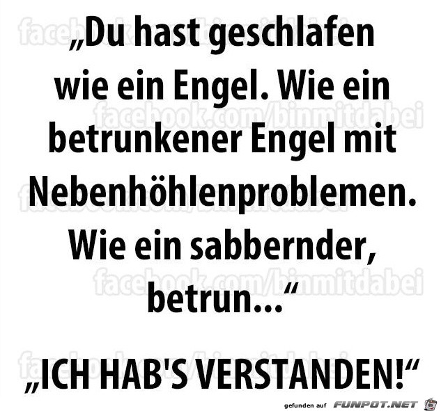 verstanden verstanden