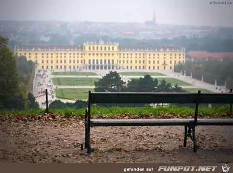 Herbstliches Wien