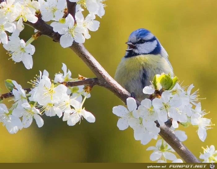 Farben, die nur Mutter Natur selbst schaffen kann ....