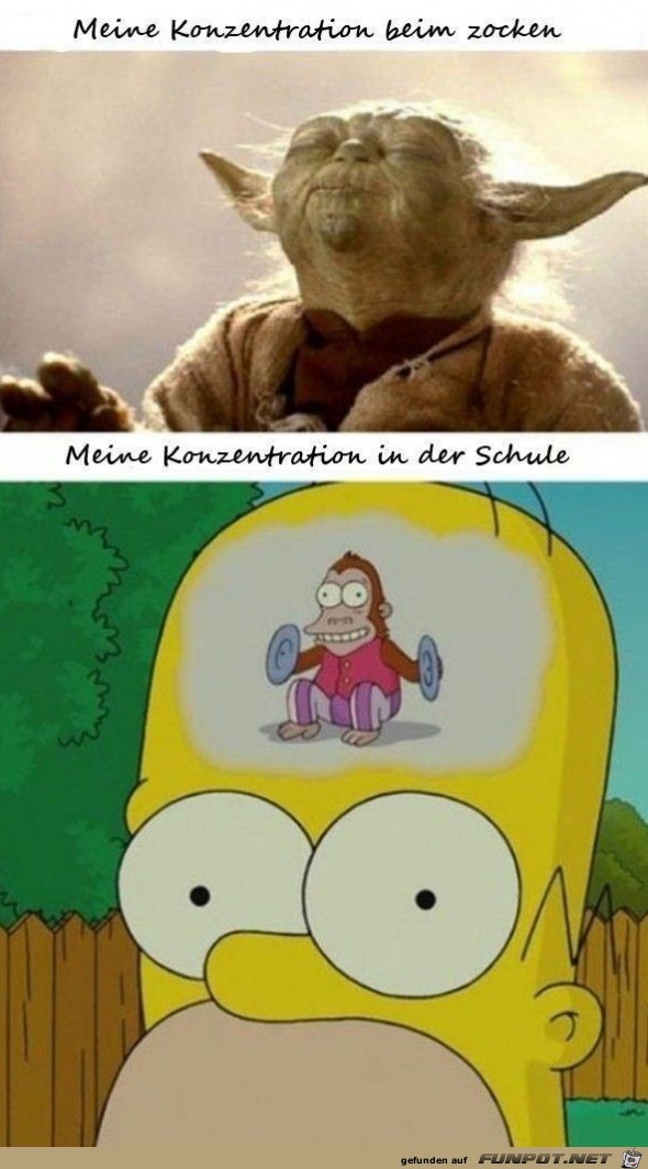 konzentration konzentration
