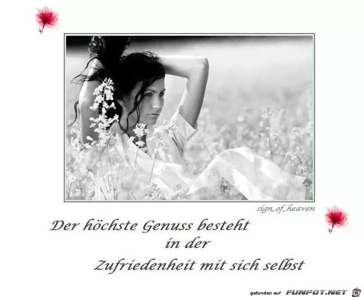 Der höchste Genuss... Der höchste Genuss...