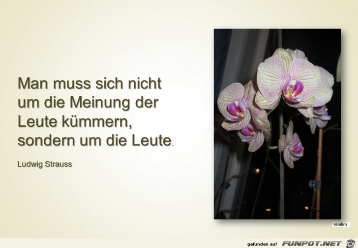 Man muss sich nicht um die Meinung der Leute kuemmern.. Man muss sich nicht um die Meinung der Leute kuemmern..