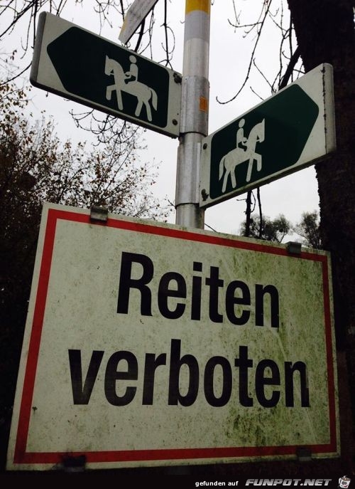 reiten