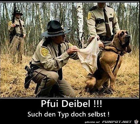 pfui pfui