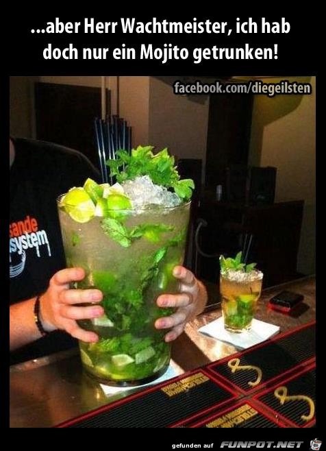 diegeilsten Mohito