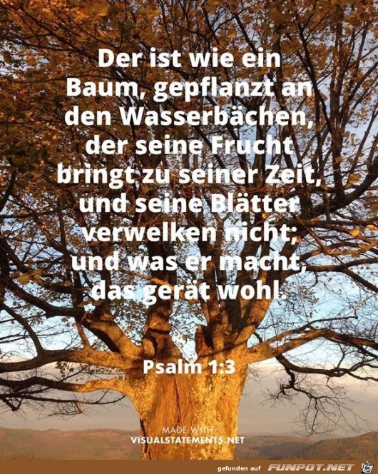 1 psalm 1 3 1 psalm 1 3