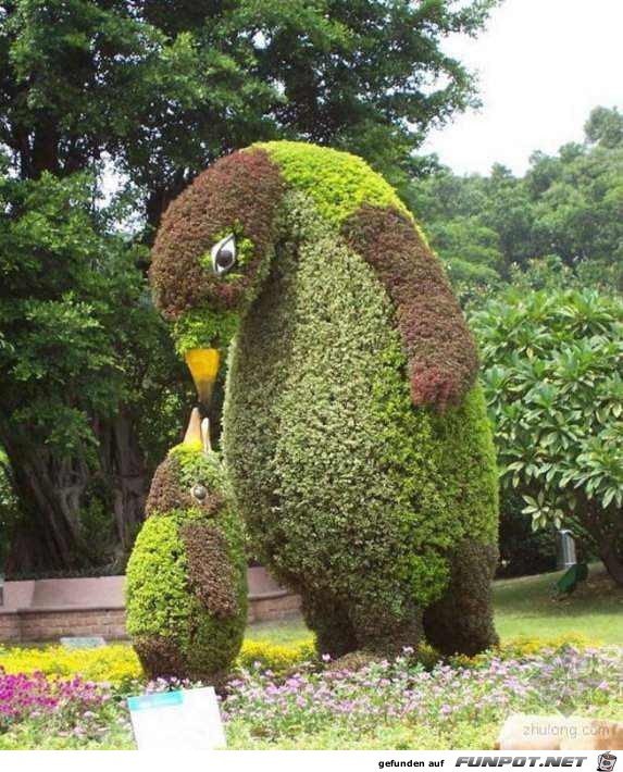 Gartenkunst - oder die Kunst mit Pflanzen umzugehen