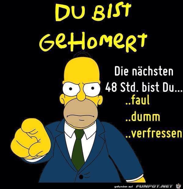 Homer01