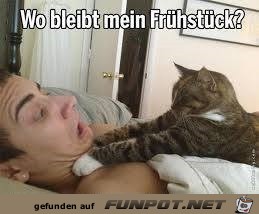 fruehstueck