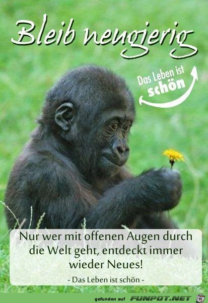 neugierig