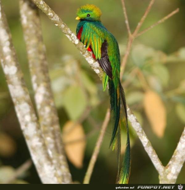 image010 image010