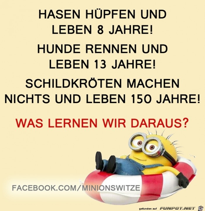 lernen lernen