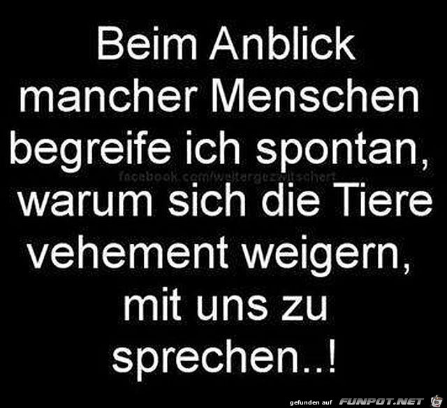 Anblick Anblick
