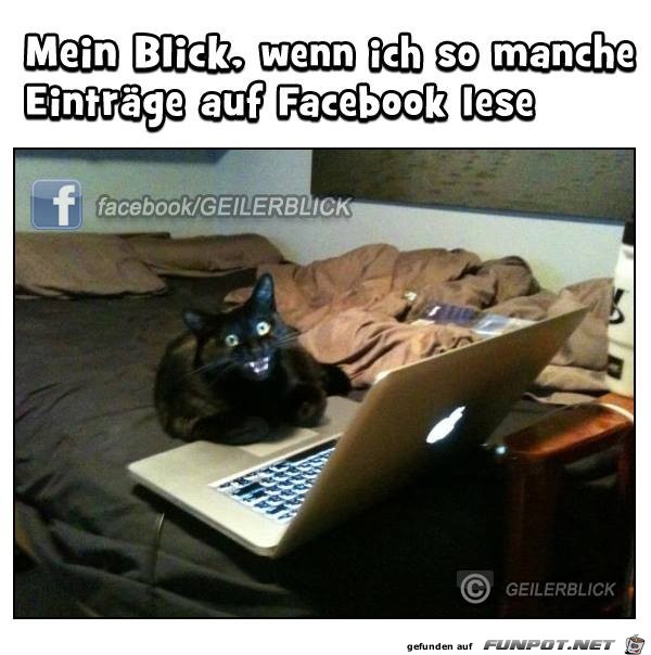 mein Blick